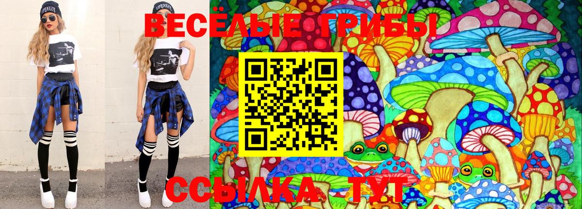 Псилоцибиновые грибы Cubensis  Вход с VPN  Лянтор 